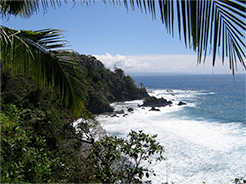 Isla del Caño